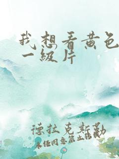 我想看黄色录像一级片