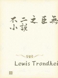 不二之臣无删减小说