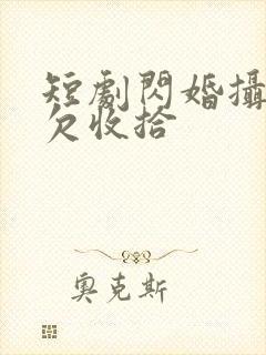 短剧闪婚摄政王欠收拾