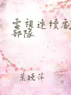 电视连续剧王牌部队