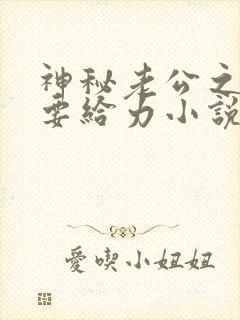 神秘老公之宠妻要给力小说