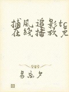 捕风追影tc版在线播放免费观看