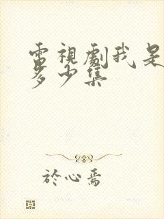 电视剧我是刑警多少集