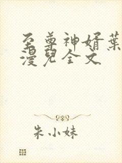 至尊神婿叶昊郑漫儿全文