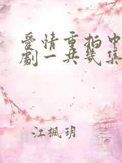 爱情重拍中电视剧一共几集