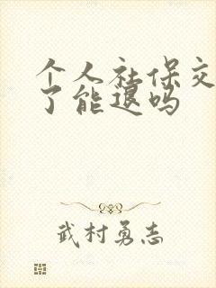 个人社保交不起了能退吗