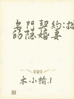 名门契约:总裁的隐婚妻