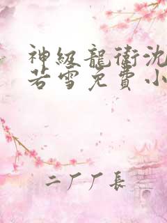 神级龙卫沈浪苏若雪免费小说