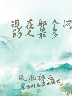 现在哪个网游玩的人最多