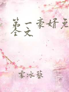 第一豪婿免费看全文