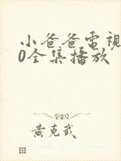 小爸爸电视剧40全集播放