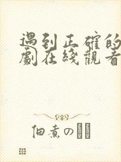 遇到正确的你短剧在线观看