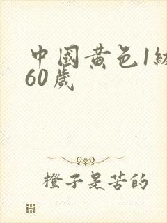 中国黄色1级片60岁