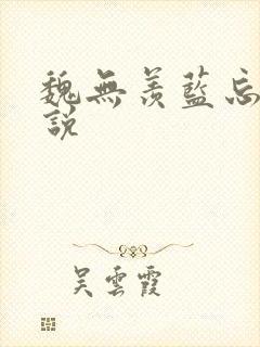 魏无羡蓝忘机小说