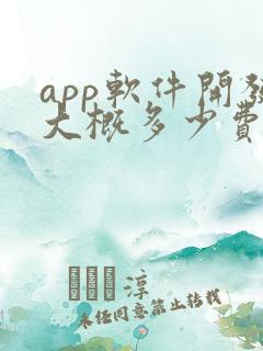 app软件开发大概多少费用