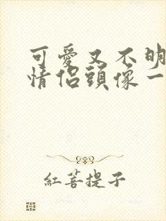 可爱又不明显的情侣头像一人一张