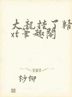 大龙挂了精校txt笔趣阁