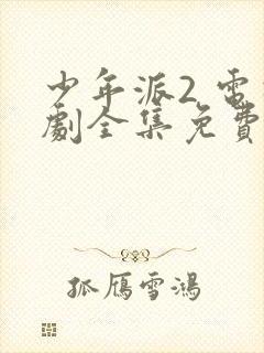 少年派2 电视剧全集免费观看