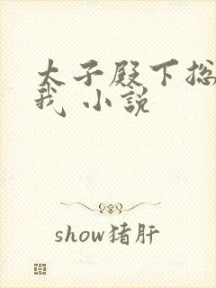 太子殿下总想娶我 小说