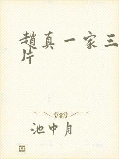 赵真一家三口照片