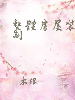 整体房屋装修定制