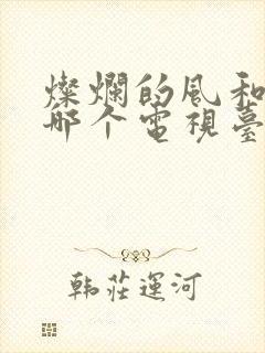 灿烂的风和海在哪个电视台播出