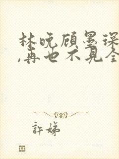 林晚顾墨琛再见,再也不见全本阅读