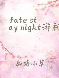 fate stay night游戏汉化版