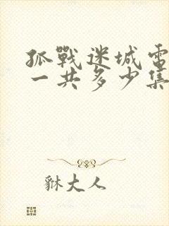 孤战迷城电视剧一共多少集