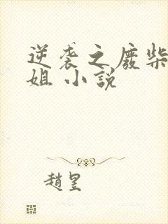 逆袭之废柴大小姐 小说