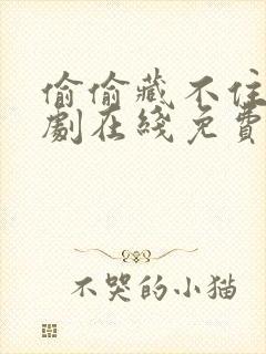 偷偷藏不住电视剧在线免费播放