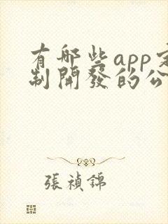 有哪些app定制开发的公司