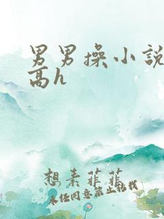 男男操小说双性高h