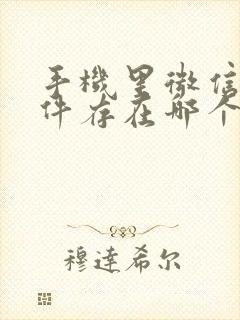 手机里微信的文件存在哪个文件夹