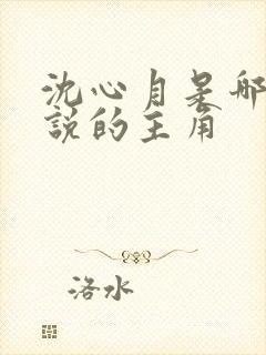 沈心月是哪部小说的主角