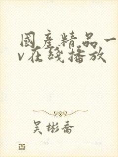 国产精品一级av在线播放