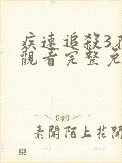 疾速追杀3在线观看完整免费高清