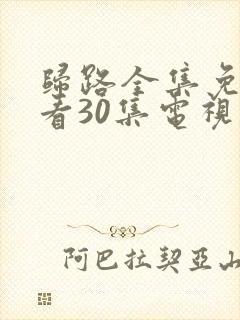 归路全集免费观看30集电视剧