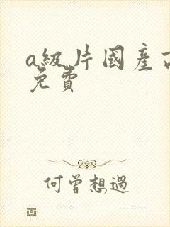 a级片国产高清免费