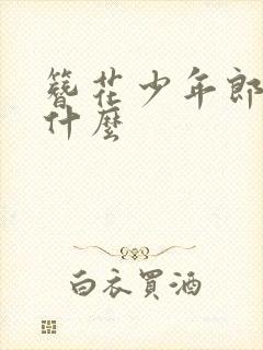 簪花少年郎讲的什么