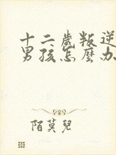 十二岁叛逆期的男孩怎么办