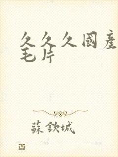 久久久国产精品毛片