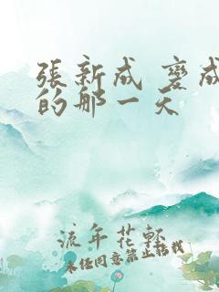 张新成 变成你的那一天