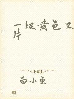 一级黄色又黄的片