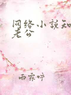 网络小说知青的老公