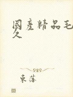 国产精品毛片久久