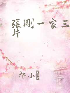 张刚一家三口照片