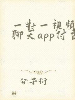 一对一视频交友聊天app付费