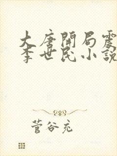 大唐开局震惊了李世民小说txt下载