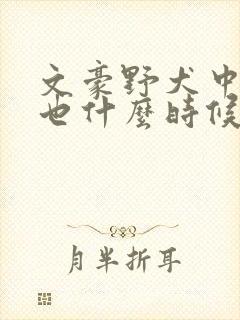 文豪野犬中原中也什么时候出场